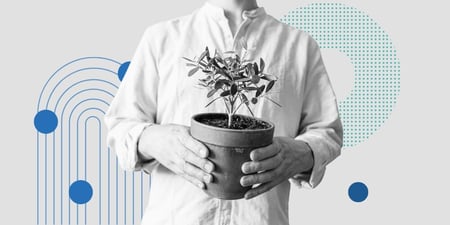 Person holding a potted plant in their hands with abstract shapes in the background