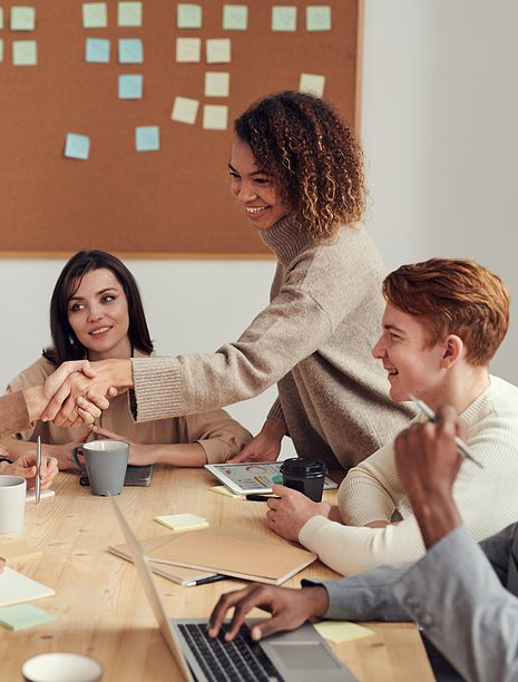 Woman shaking hands across table